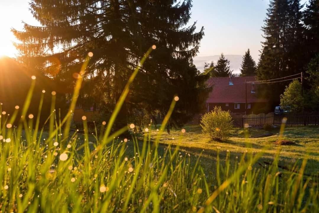 Piricske Pihenohaz Villa Ciceu Bagian luar foto